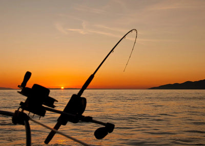 Start Fishing From a Paddleboard in 3 Easy Steps